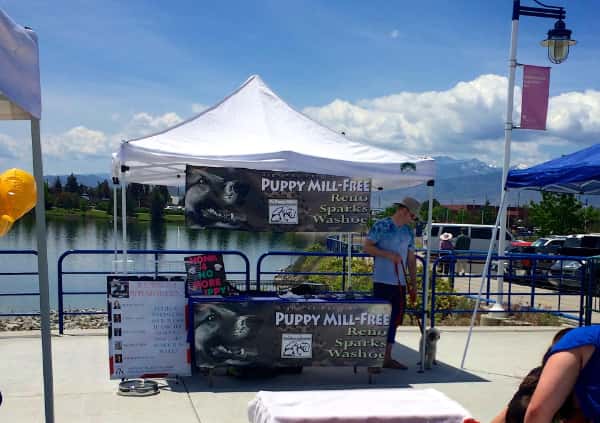 Puppy Store Petition Booth